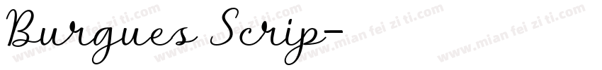Burgues Scrip字体转换
